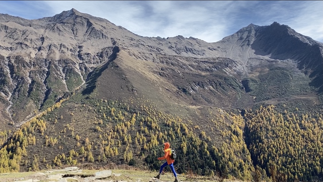 近日地推推广模块化搭建您的网络平台:安全、稳定与用户体验的平衡孟宴臣父母年轻的时候